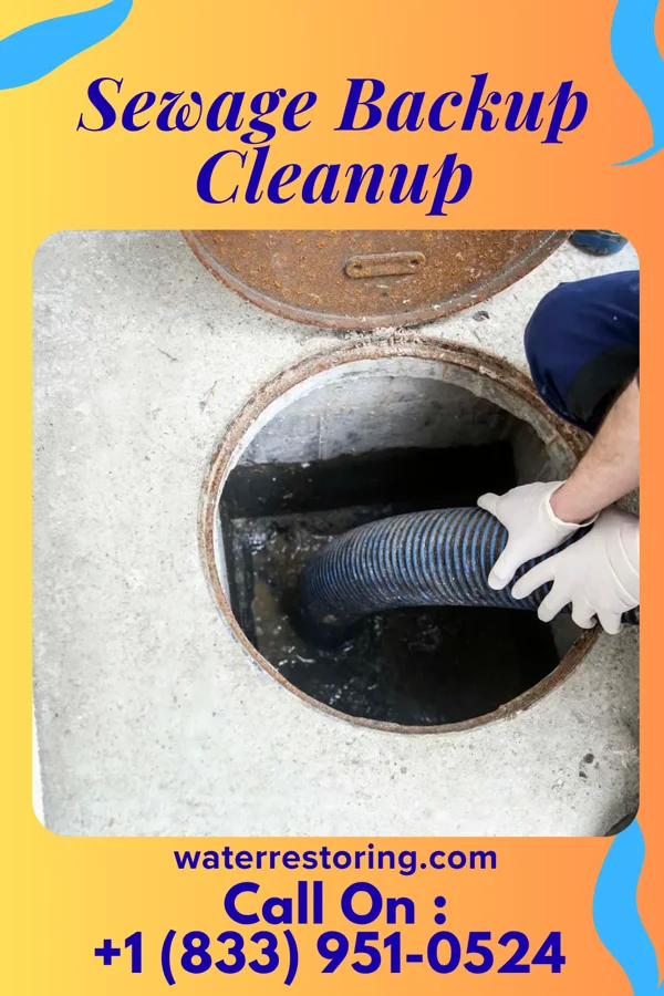 Sewage Backup Cleanup in K-Bar Ranch, TX