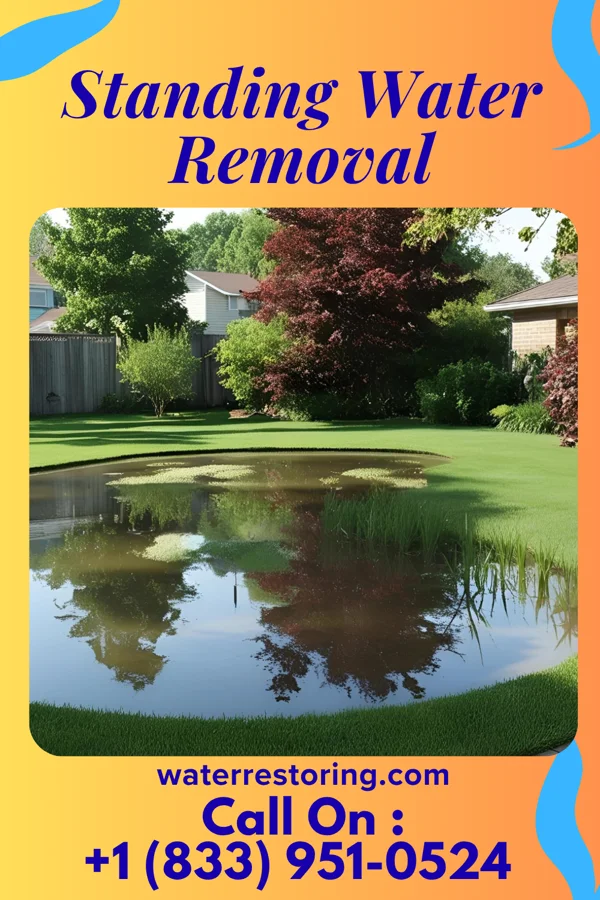 Standing Water Removal in K-Bar Ranch, TX
